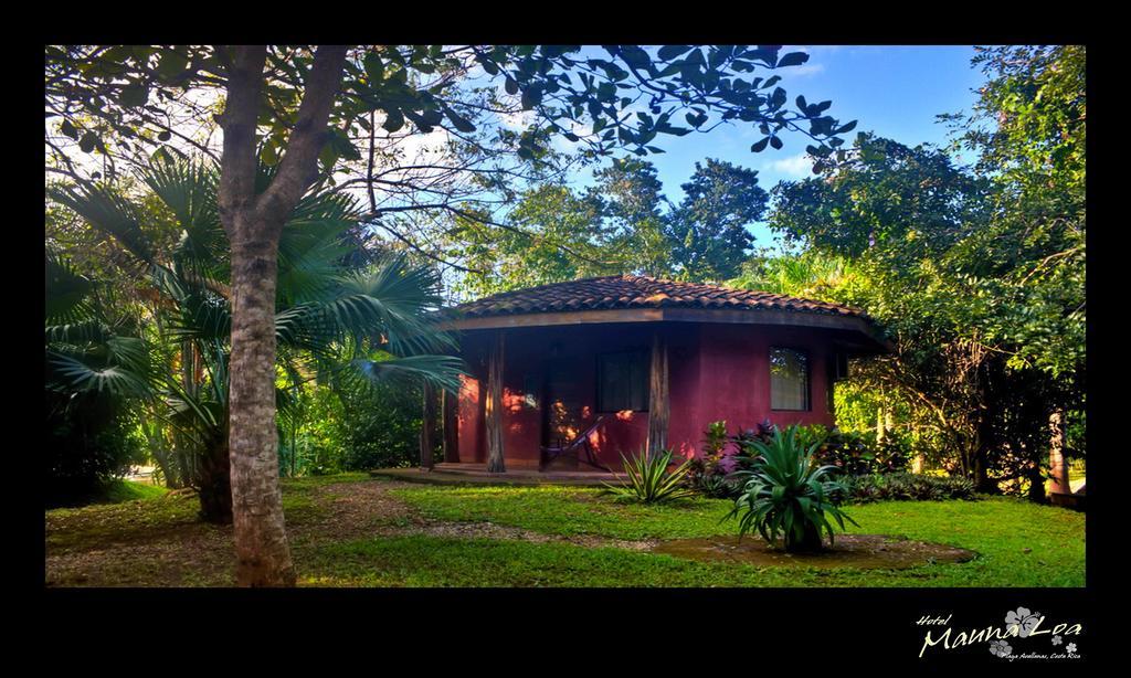 Hotel Mauna Loa Pinilla Rom bilde