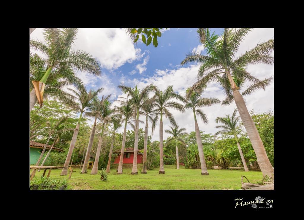 Hotel Mauna Loa Pinilla Eksteriør bilde