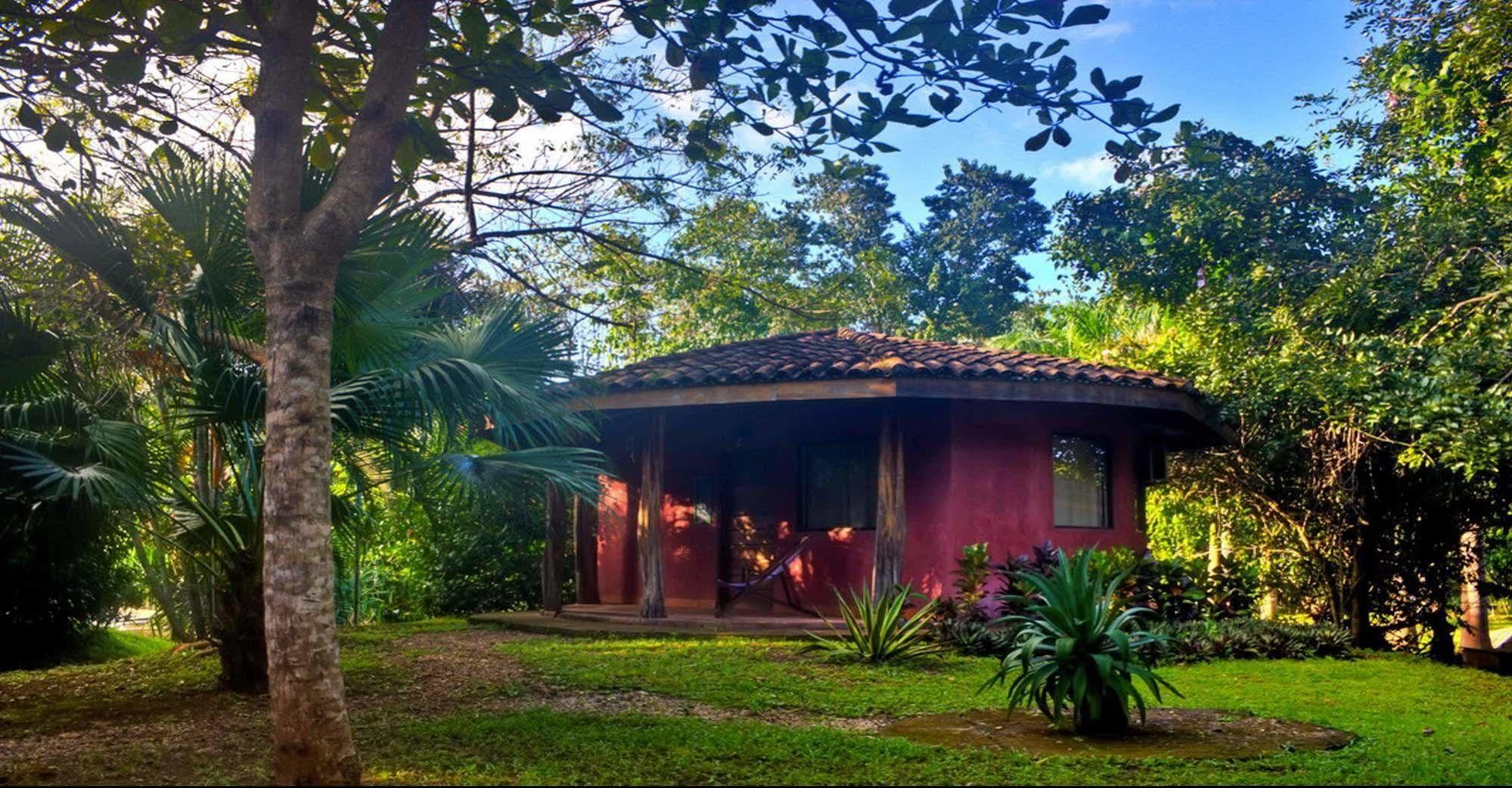 Hotel Mauna Loa Pinilla Eksteriør bilde